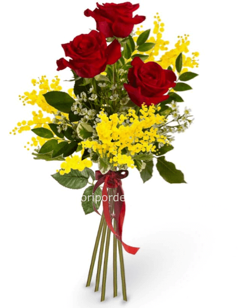 rose rosse a stelo corto e mimosa