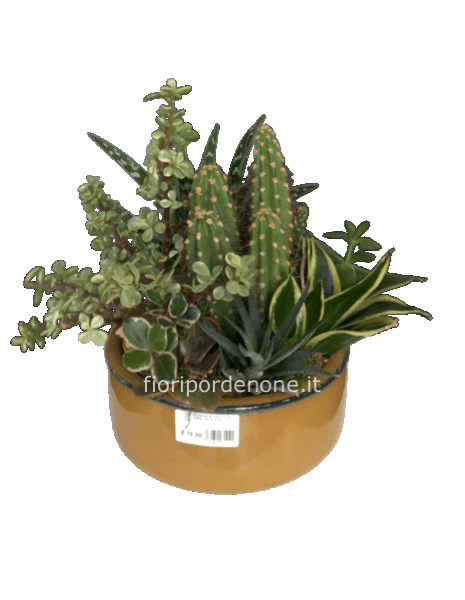 Composizione grasse media su ciotola in ceramica lucida