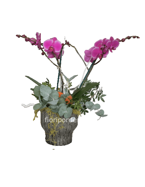 Cp orchidea    Vaso capri