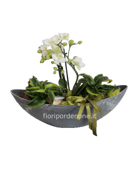 Composizione barchetta con orchidea