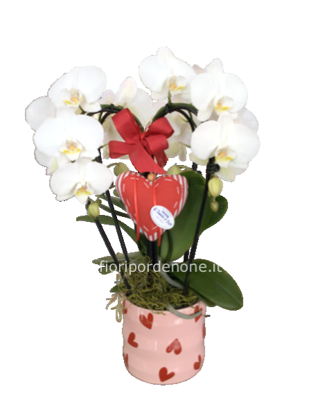 Orchidea a cuore