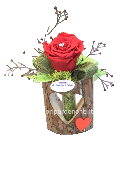   Rosa stabilizzata in vasetto in corteccia 