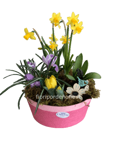 Mini giardino fiorito