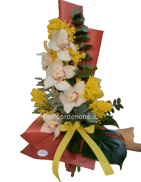 Mimosa e cymbidium