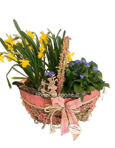 Cestino con narciso e “ non ti scordar di me”