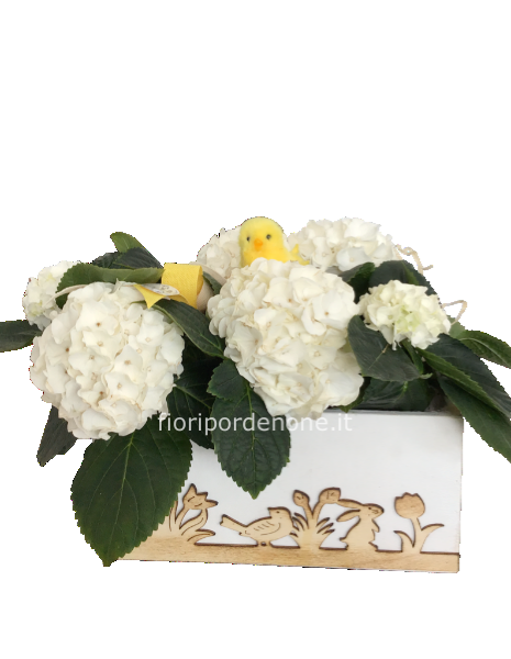 Cassetta ortensie bianche