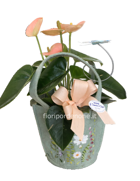 Cestino  primaverile con Anthurium 