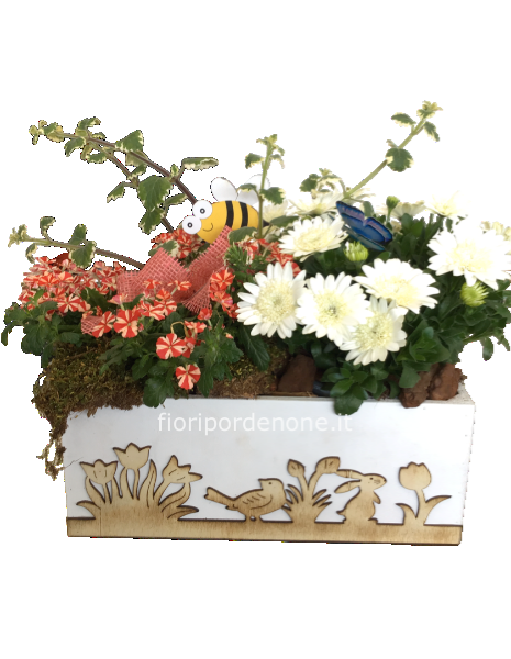 Cassetta  primavera - estate