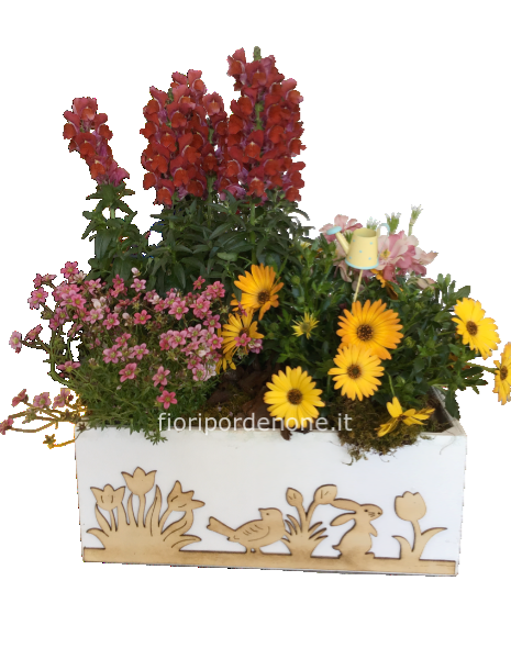 Cassetta  con piante perenni da esterno