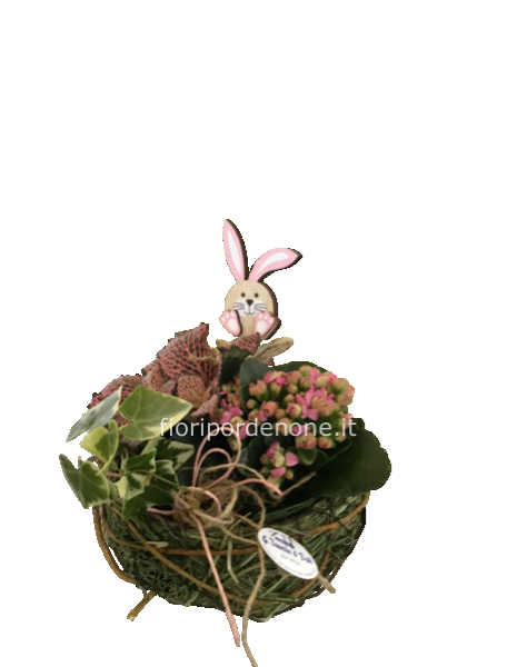  Ovalina  con piantine  da interno