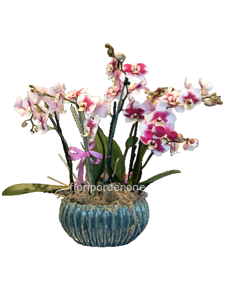 Ovalina in ceramica con orchidee