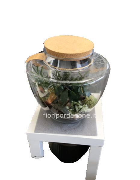 Terrarium super Big