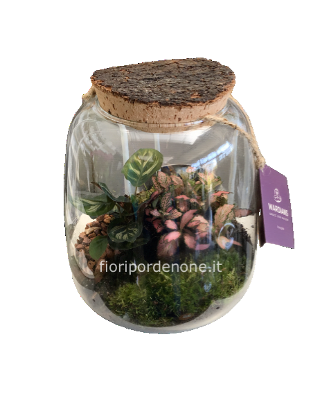 Terrarium  23x 15