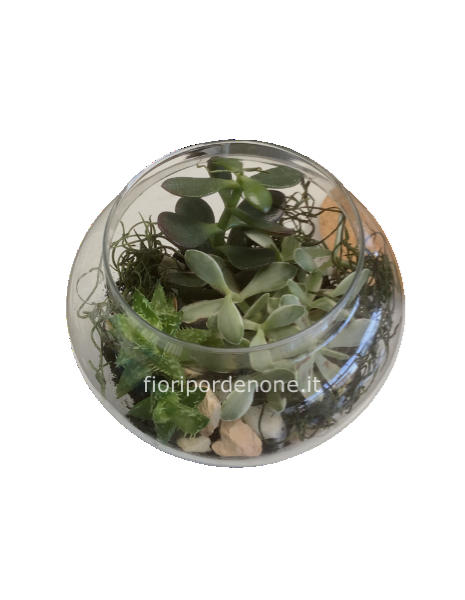 Terrarium 15 x 14