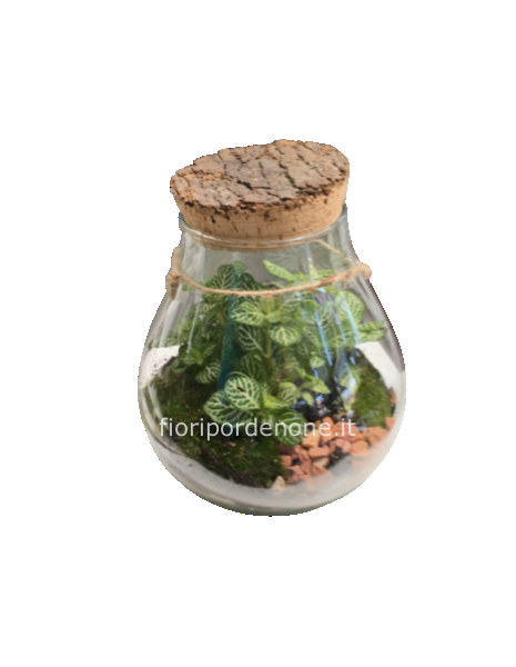 Terrarium h 20 x 19