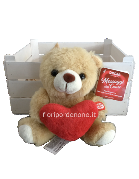 Peluche “ registra  il messaggio”