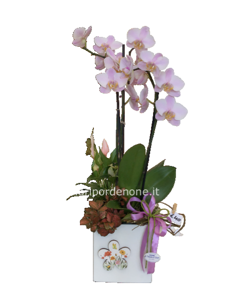 Vaso cubo bianco con orchidea ed altre piante da interno