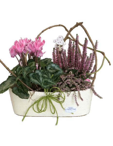 Cestino con ciclamino e calluna