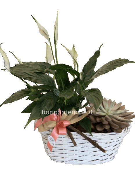 Composizione ‘ bianca’