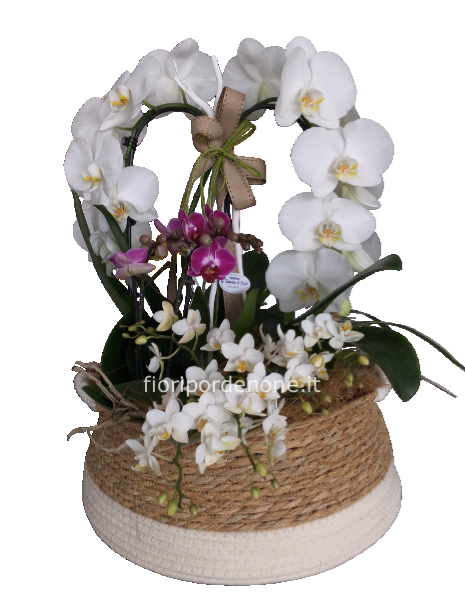 Composizione in vimini con solo orchidee