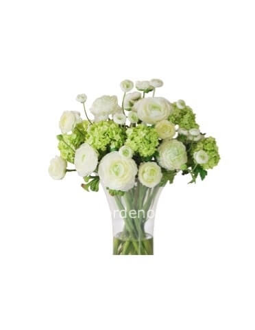 Bouquet con fiori bianchi